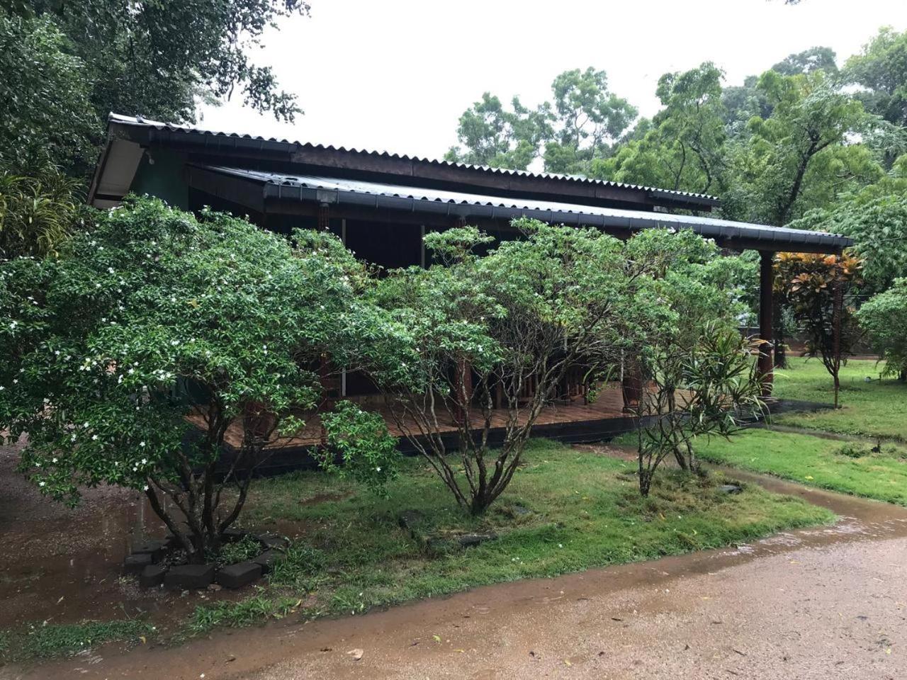 Greenwood Hotel Sigiriya Eksteriør bilde