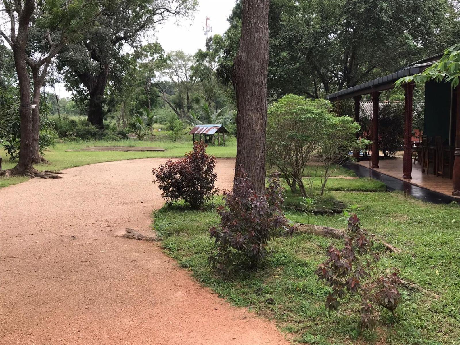 Greenwood Hotel Sigiriya Eksteriør bilde