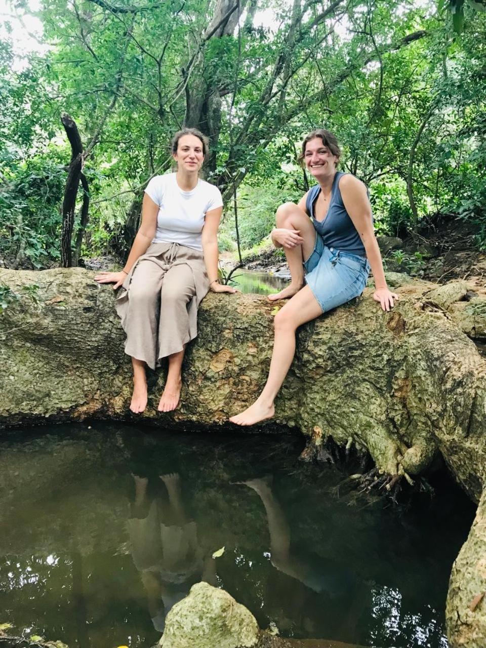 Greenwood Hotel Sigiriya Eksteriør bilde