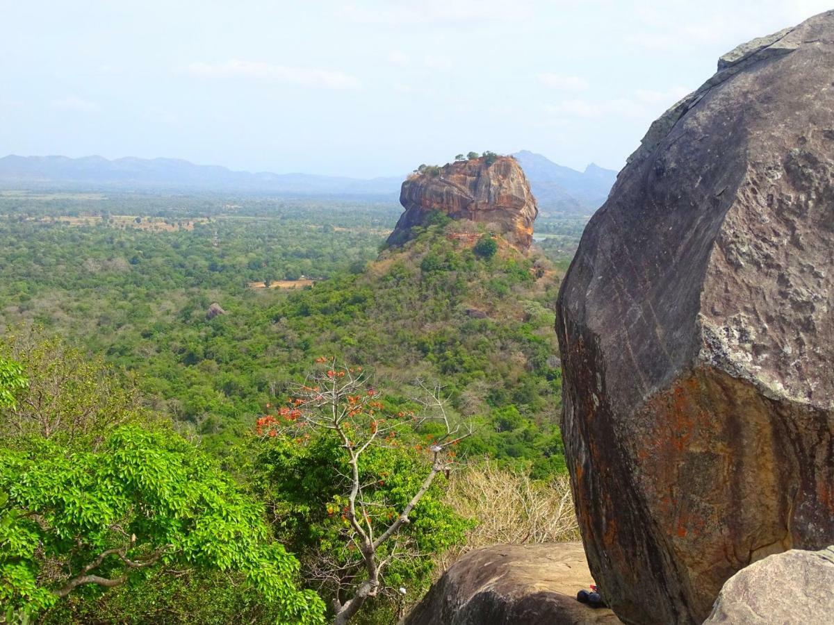 Greenwood Hotel Sigiriya Eksteriør bilde