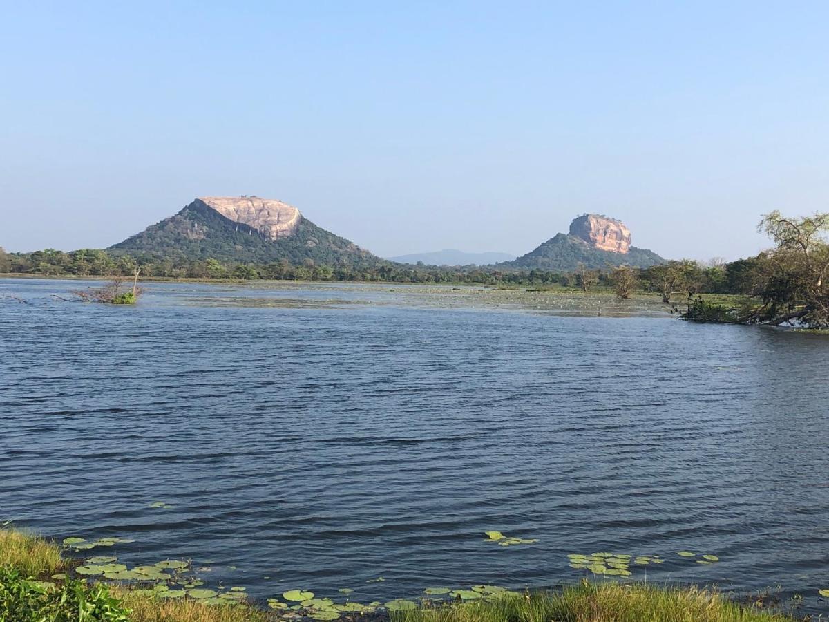 Greenwood Hotel Sigiriya Eksteriør bilde