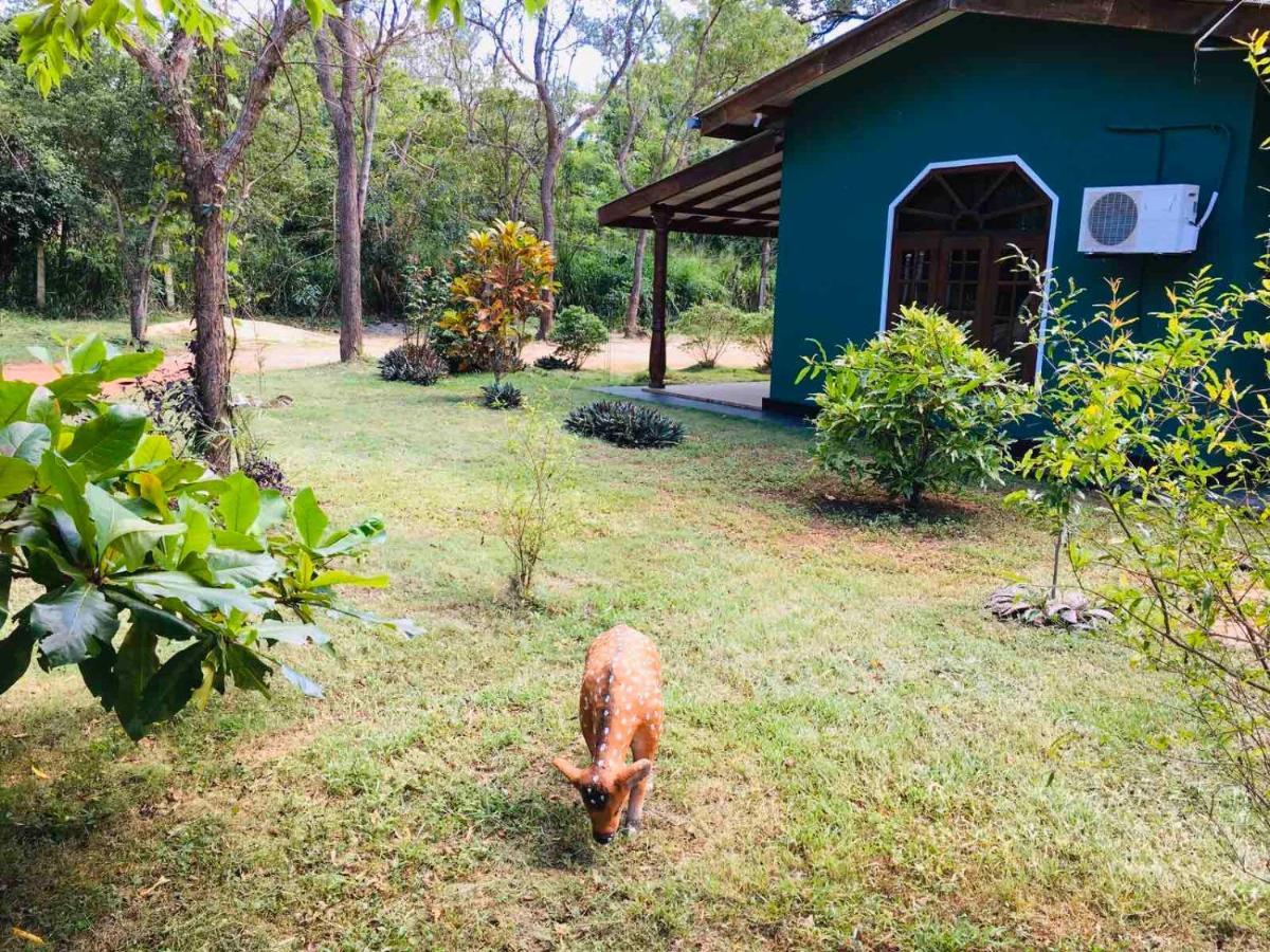Greenwood Hotel Sigiriya Eksteriør bilde
